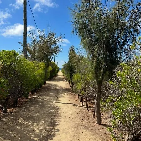 Porto Santo Rentals Lejlighed *